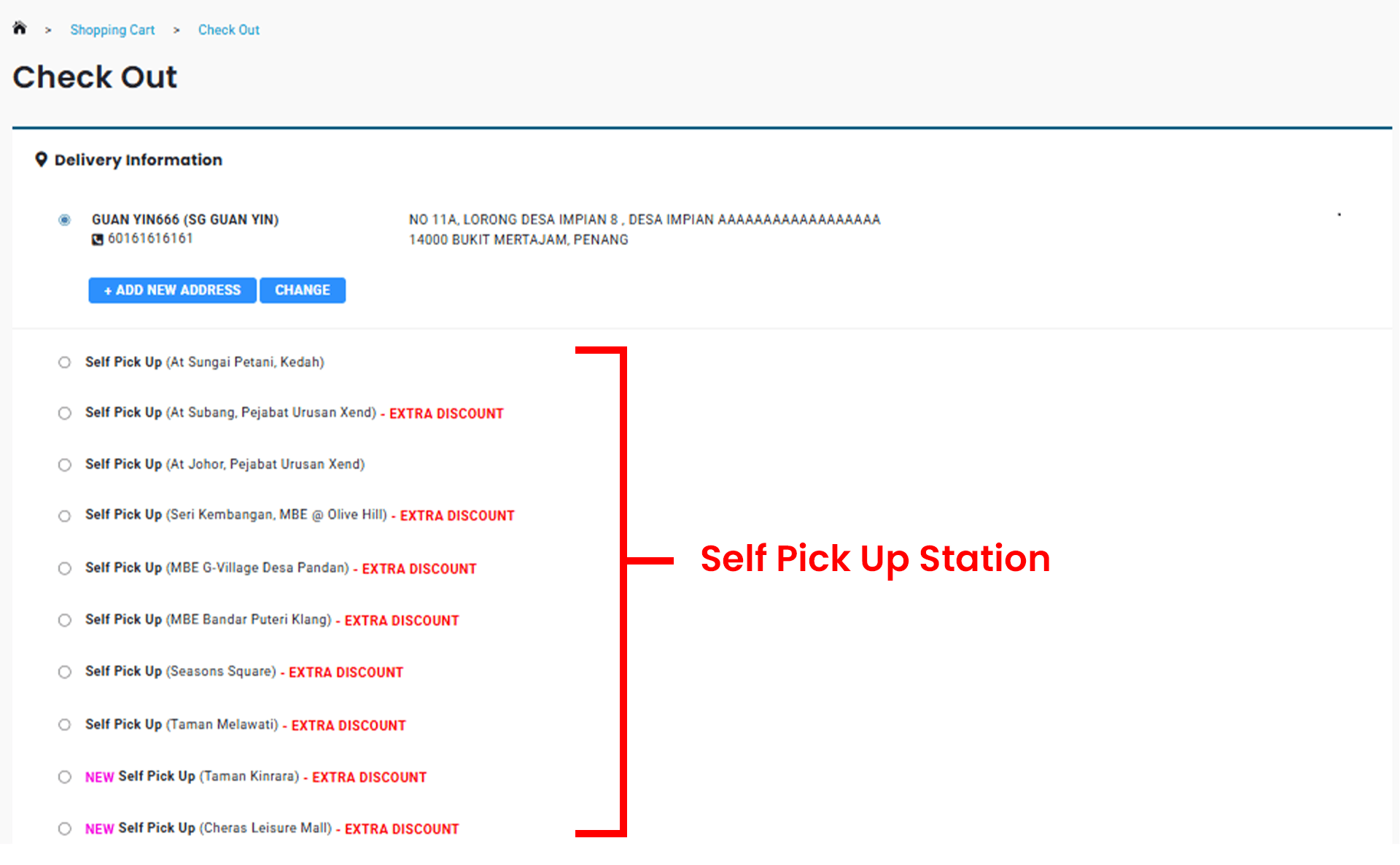 Checkout page showing printing delivery options including courier delivery to doorstep and self pick up.